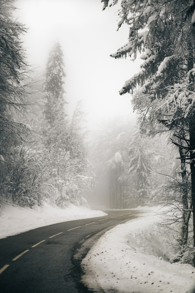 Foto grátis foto vertical de uma bela estrada vazia cercada por um bosque nevado