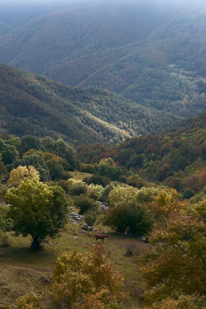 Foto vertical de uma bela paisagem de outono