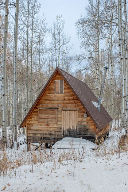 Foto vertical de uma casa de madeira marrom no meio de um bosque nevado