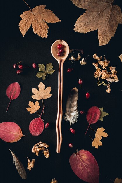 Foto vertical de uma colher de pau cercada por diferentes folhas de plantas e penas