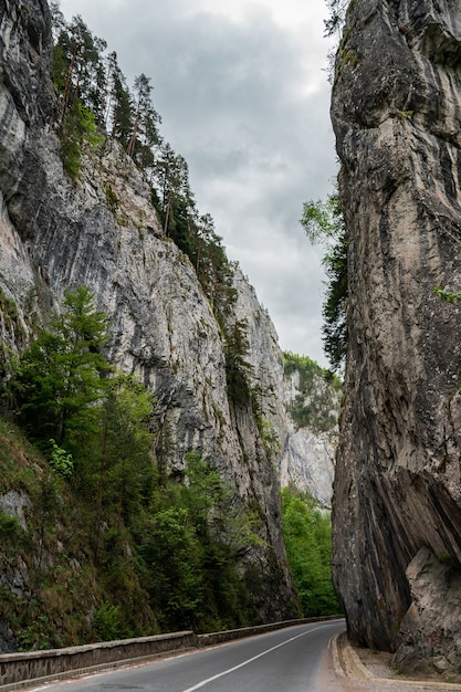 Foto vertical de uma estrada cercada por penhascos em ambos os lados