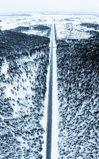 Foto vertical de uma estrada cercada por pinheiros e neve