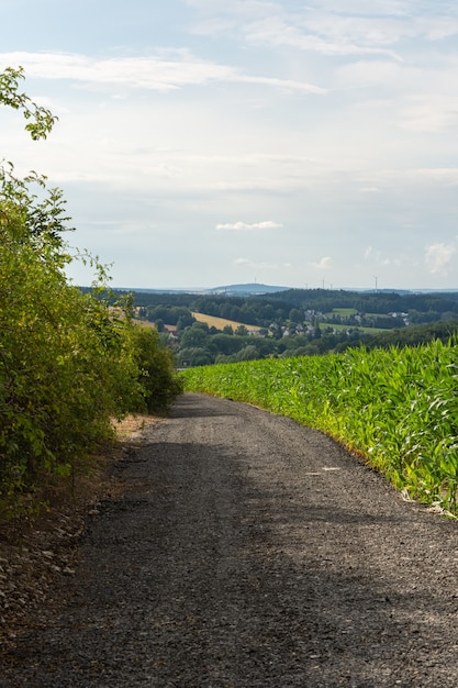 Foto grátis foto vertical de uma estrada de cascalho passando por plantas e uma bela fazenda