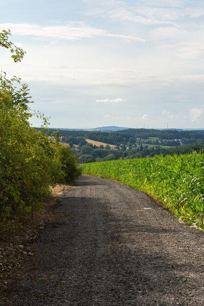 Foto vertical de uma estrada de cascalho passando por plantas e uma bela fazenda