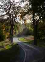 Foto grátis foto vertical de uma estrada sinuosa no parque