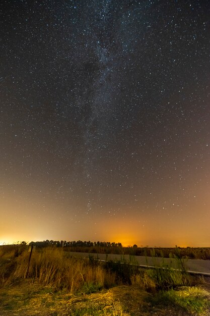 Foto vertical de uma estrada vazia cercada por vegetação sob um céu estrelado