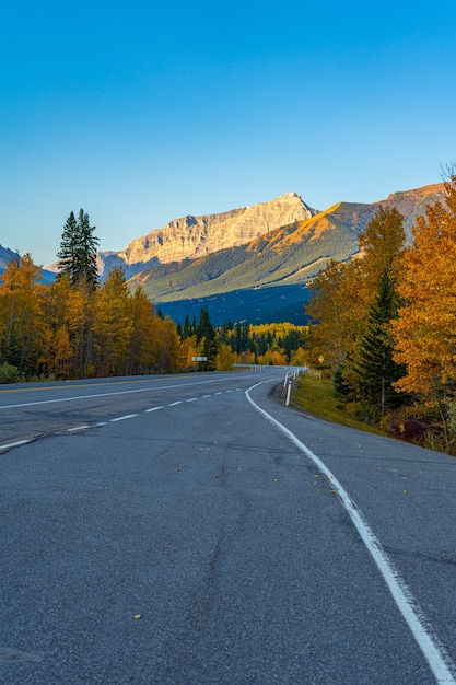 Foto vertical de uma estrada vazia com árvores de outono em Kananaskis, Alberta, Canadá