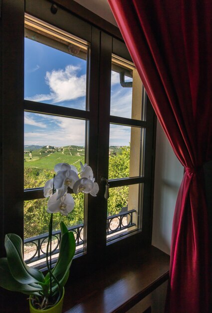 Foto vertical de uma flor branca perto da janela com uma bela vista