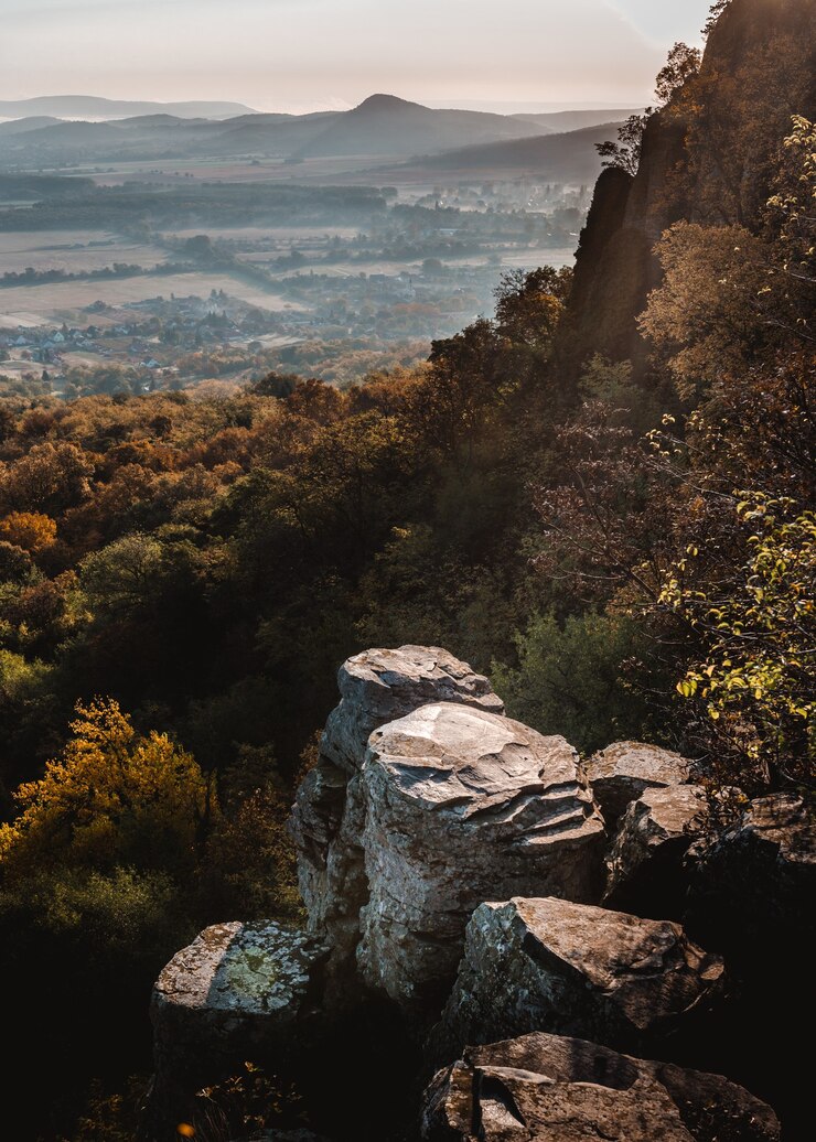 Foto grátis foto vertical de uma montanha na hungria cheia de árvores e vegetação
