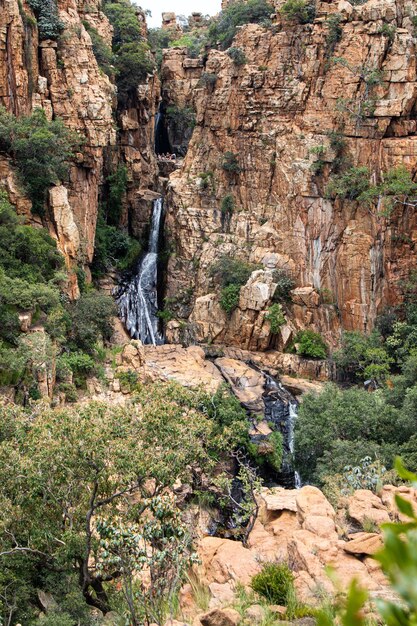 Foto vertical de uma pequena cachoeira em uma floresta