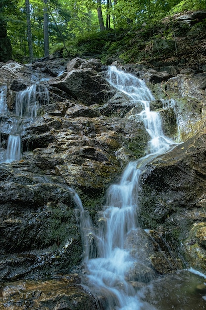 Foto vertical de uma pequena cachoeira na floresta