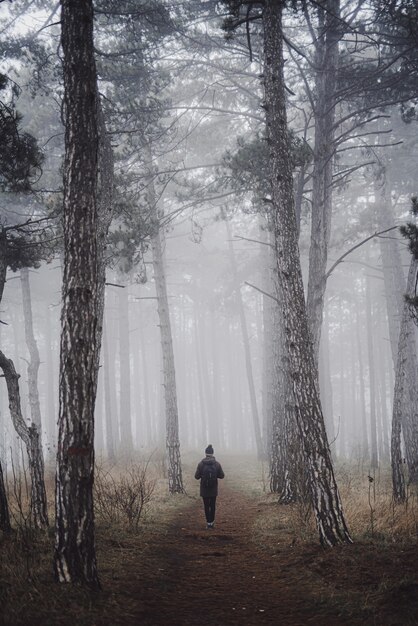 Foto vertical de uma pessoa caminhando em uma floresta em uma manhã de nevoeiro