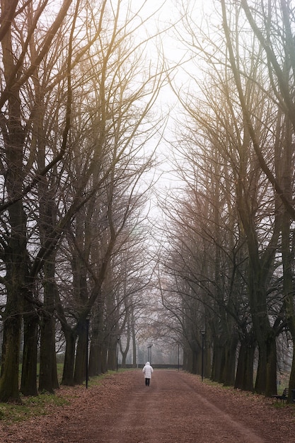 Foto vertical de uma pessoa na passarela de um parque cheio de árvores nuas