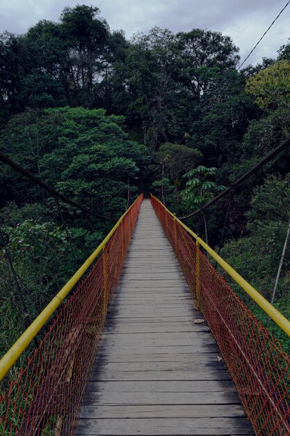 Foto vertical de uma ponte de madeira levando a uma floresta