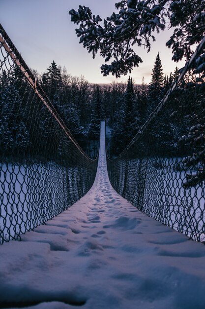 Foto vertical de uma ponte pênsil em direção a uma bela floresta de abetos coberta de neve