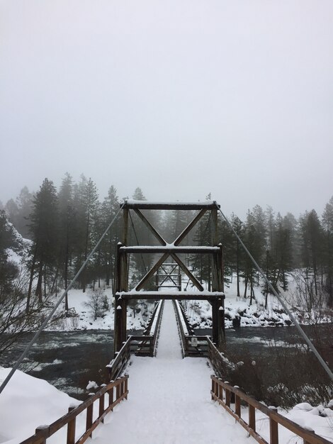 Foto vertical de uma ponte suspensa de neve com uma floresta enevoada à distância