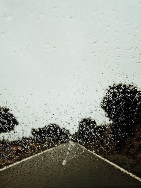 Foto grátis foto vertical do para-brisa de um carro durante o tempo chuvoso com vista para uma estrada