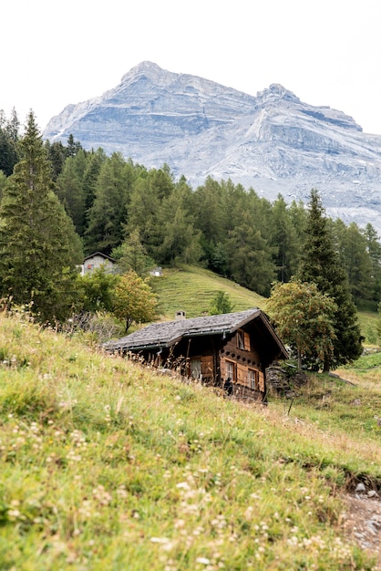 Foto vertical dos Alpes Suíços