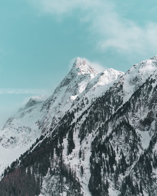 Foto vertical dos belos picos das montanhas cobertas de neve