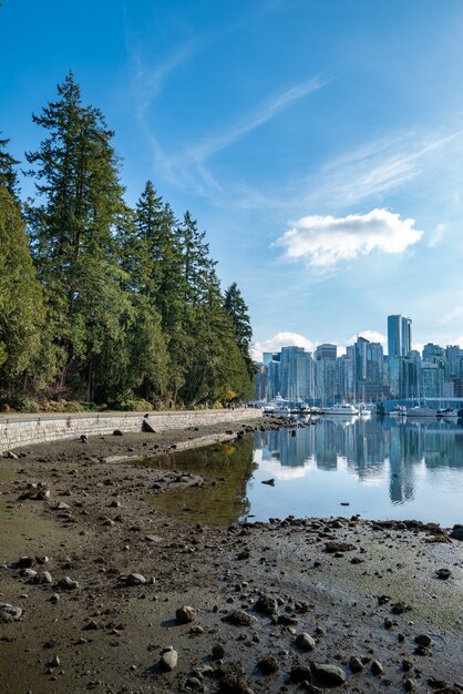 Foto vertical dos reflexos de prédios altos no lago do Stanley Park, em Vancouver