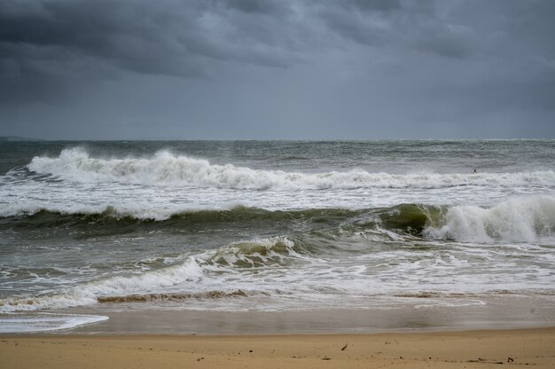 Fotos da praia e das ondas da Sunshine Coast de Queensland, Austrália