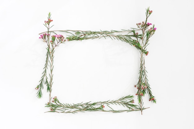 Foto grátis frame bonito feito de plantas