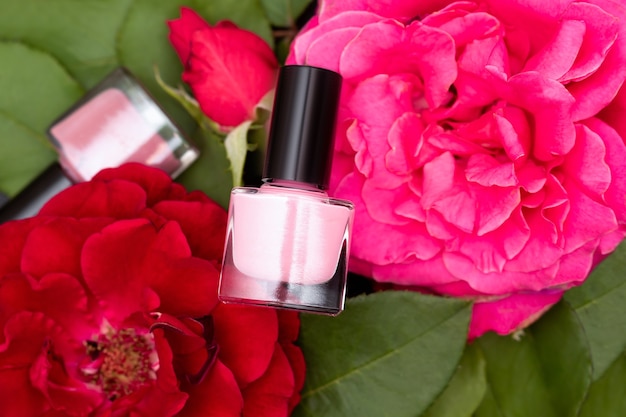 Frascos de esmalte rosa com flor de rosa rosa e vermelha. frasco de esmalte rosa sobre fundo de flores vermelhas.