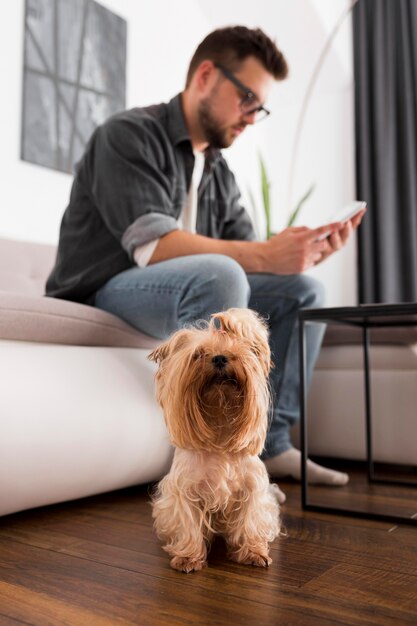 Freelancer trabalhando em casa ao lado de seu animal de estimação