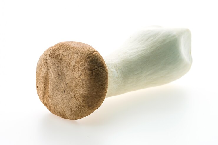 Foto grátis frescor fungo nutrição saboroso comer