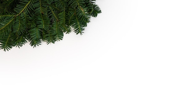 Fronteira de natal com espaço para design. decoração de galhos de árvore de abeto verde lindo na bandeira branca. conceito de noel de inverno. vista superior do fundo do quadro de ano novo. Foto Premium