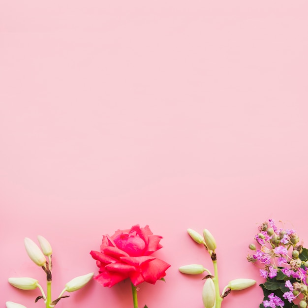 Foto grátis fronteira inferior feita com flores decoradas em fundo rosa
