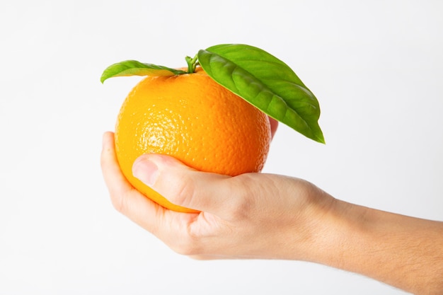 Fruta laranja na palma da mão com folhas