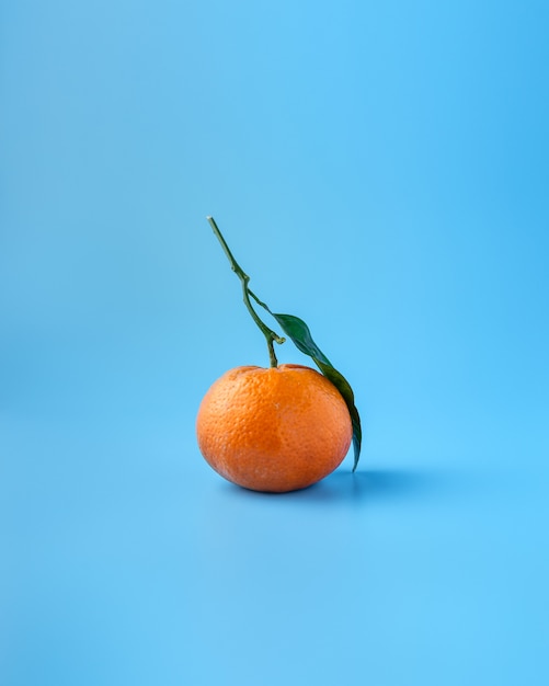 Foto grátis frutos maduros de laranja ou tangerina