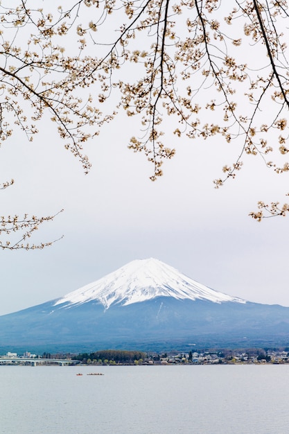 Foto grátis fuji montanha e sakura no lago kawaguchiko