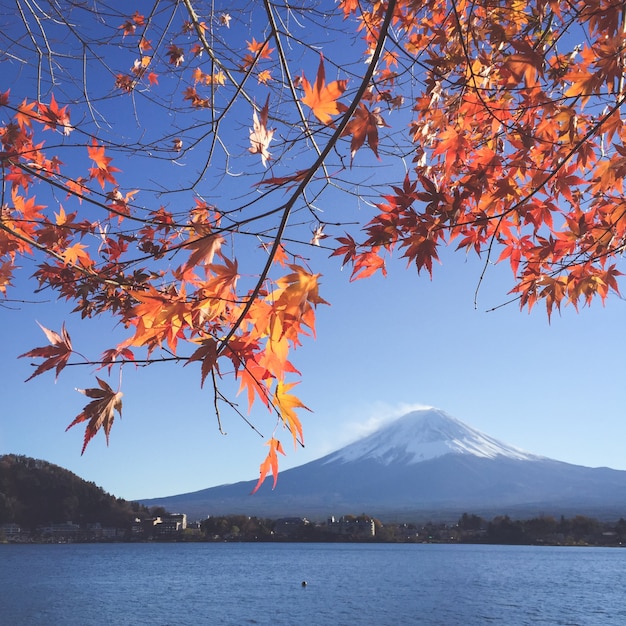 fuji primavera snowcapped panorama neve