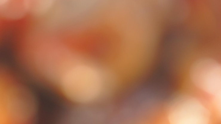 Foto grátis fundo bokeh de outono floresta desfocada cores de outono natureza pano de fundo design de site