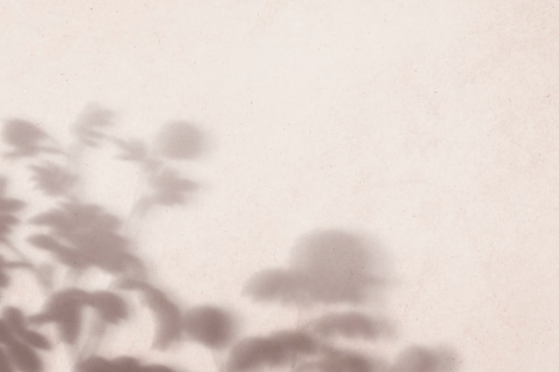Foto grátis fundo com sombra de campo floral