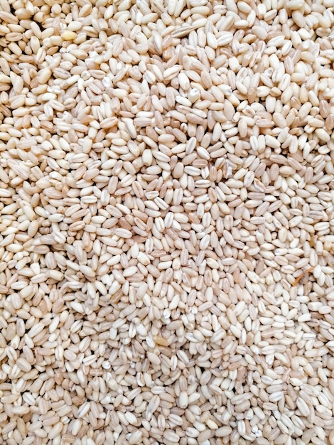 Foto grátis fundo de arroz branco