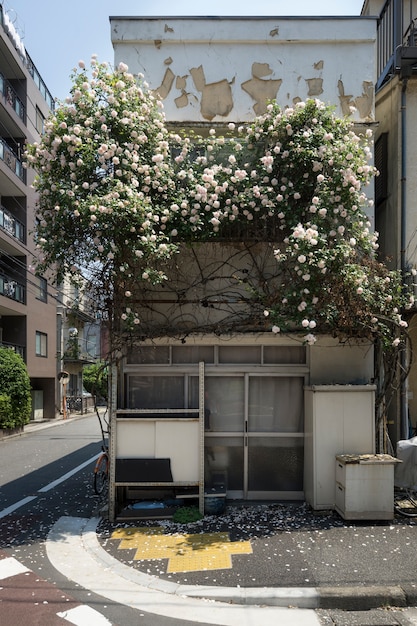 Fundo de casa assombrada e bela árvore