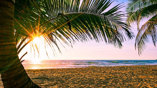 Fundo de conceito de férias de outono de praia quadro de natureza com coqueiros na praia com reflexo de luz do sol belo pôr do sol ou nascer do sol paisagem de fundo.