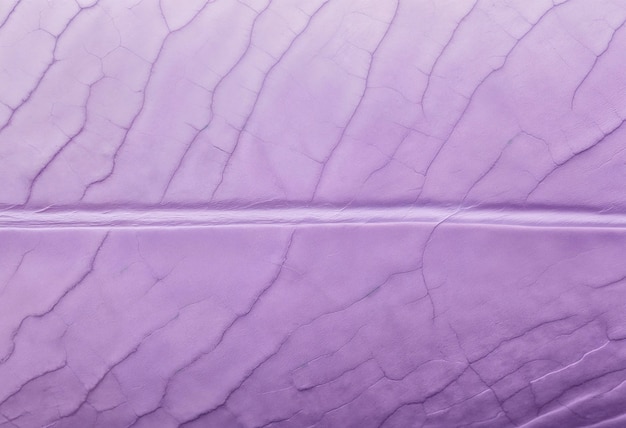 Foto grátis fundo de cor lavanda com textura abstrata