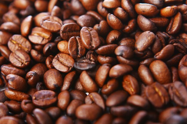 Fundo de grãos de café