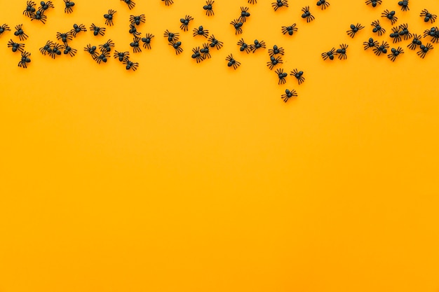 Fundo de Halloween com insetos e espaço