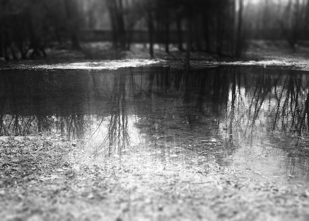 Fundo de paisagem de lagoa de primavera preto e branco horizontal hd