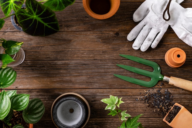 Fundo de planta de madeira com ferramentas de jardinagem para passatempo