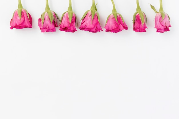 Foto grátis fundo de primavera com rosas