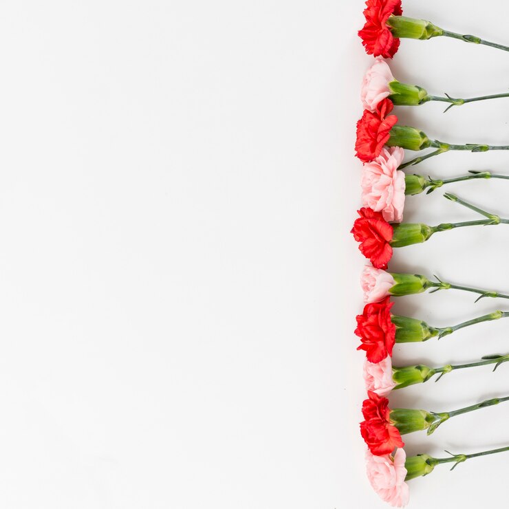 Foto grátis fundo de primavera com rosas