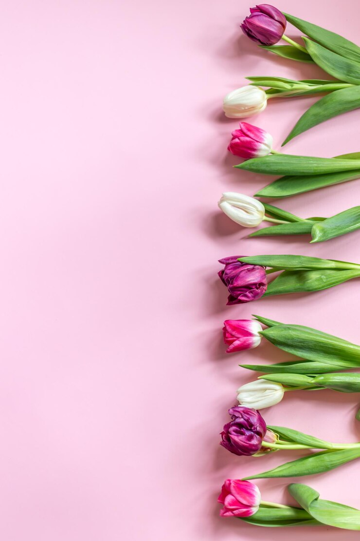 Foto grátis fundo de primavera dia das mulheres dia das mães tulipas vista superior