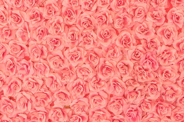 Fundo de rosas