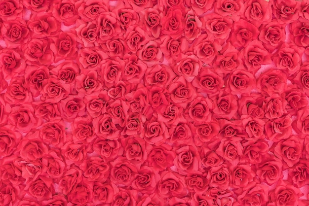 Fundo de rosas